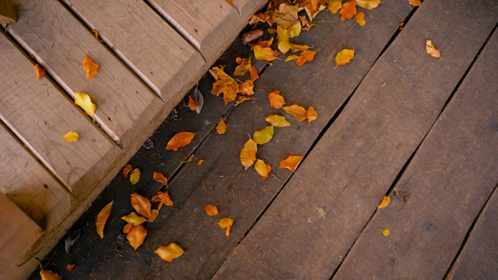 5 Jenis Kayu Decking Terbaik dan Cara Memilihnya